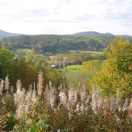 Les Appartements De La Bergeronnette Grandes-Bergeronnes Esterno foto