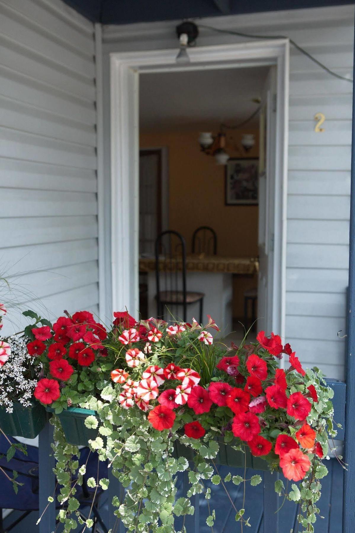 Les Appartements De La Bergeronnette Grandes-Bergeronnes Esterno foto